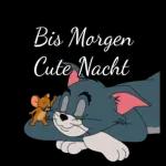 Ich bin bettfertig und sage schon mal Gute Nacht