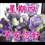 不要發送早上的圖片