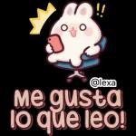 🎀🐰Andy, Conejo🐰🎀 2