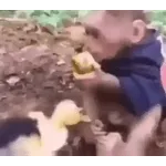 一起来嘛
