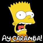 MI PAQUETE 50