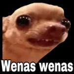 👉🏻👈🏻