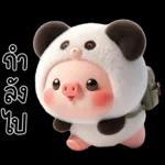 หมูแพนด้าน่ารักจังเลย