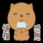 Q狗勾嗚福   龍年有福