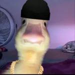 l love u anuel aa❤️‍🩹💫🤞🏻