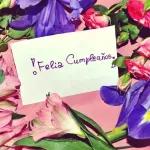  ¡Hermosas flores!🌹