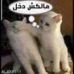 جيري