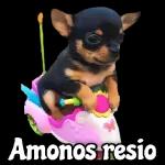 A ver cuéntame el chisme