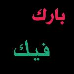 محمود أبو ملك