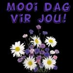 Romantic flowers stickers