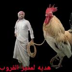 كل شيء على مايرام