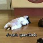 วันนี้เนี่ยย😵‍💫😵‍💫