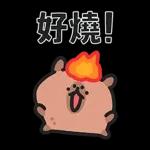 小水豚們的熱血應援