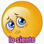 lo siento