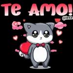amor