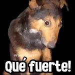 PERO HAY UN DIOS QUE TODO LO VE