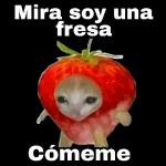 Sin palabras 