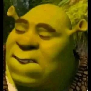OjFQ0Y