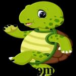 Süße kleine Schildkröte😻