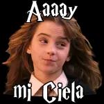 Hay alguien aquí?