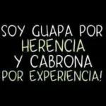 te quiero tanto como punch a su peluche