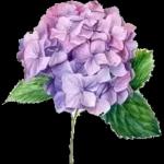 من الذي فاتك؟