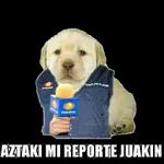 memes 4