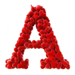 TE AMO TE AMO TE AMO TE AMO
