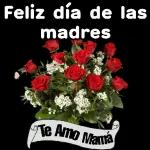  Día de la madre ✨2