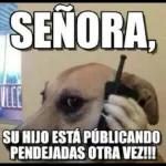 PA EL DESMADRE 