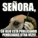 ¿Que hay de nuevo viejo?