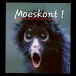 Met Liefde Uit my Hart