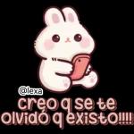 🎀🐰Andy, Conejo🐰🎀 2