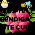 nada se compara contigo