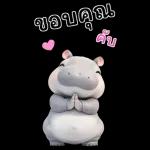 ฮิปโปรักดึงดงบิ๊ก