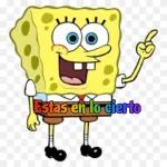 Bob esponja polo