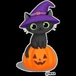 Prep for the Halloween!