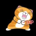 白爛貓58☆名人堂☆