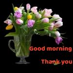 you are my sunshine🌞🌞😘😘