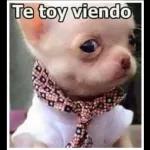 de que me perdi? 7:52m. 45,998