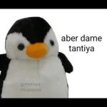                              florksito no se va ᥫ᭡TOP STICKERS