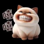 可愛暹羅貓的日常