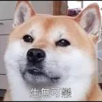 Qué se sentirá ser feo?