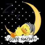 Gute Nacht