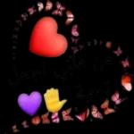 من قلبي اجمل
تحية