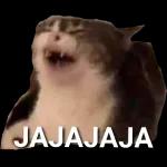 JAJAJAJA