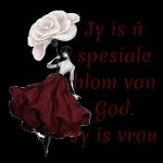 dis n plesier