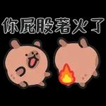 小水豚們的熱血應援