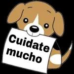 Yo yendo a molestar a la única persona que me soporta.