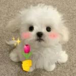 Animais com Emoji de Flor 🌹